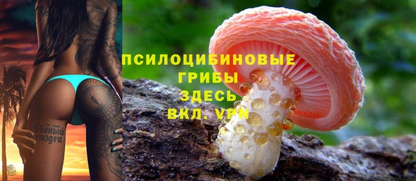 экстази Карпинск